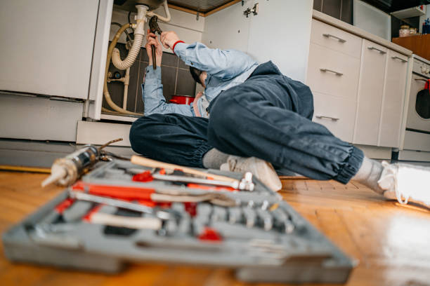 Best Plumbing Inspection Services  in Cypress Quarters, FL