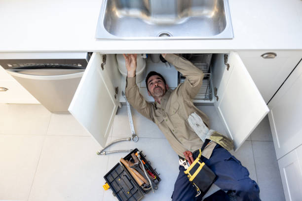 Best Residential Plumbing Services  in Cypress Quarters, FL