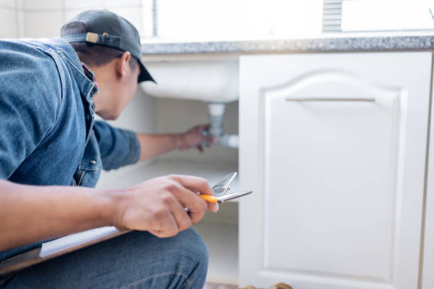 Best Clogged Drain Plumber  in Cypress Quarters, FL